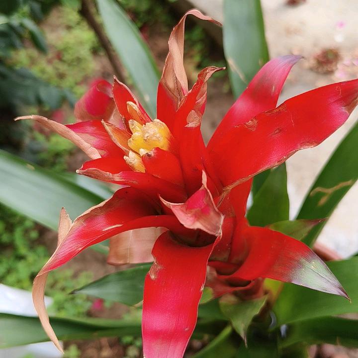 @🥀এ᭄微笑向钱🦋ഒᩚ࿐: 💞ঞ