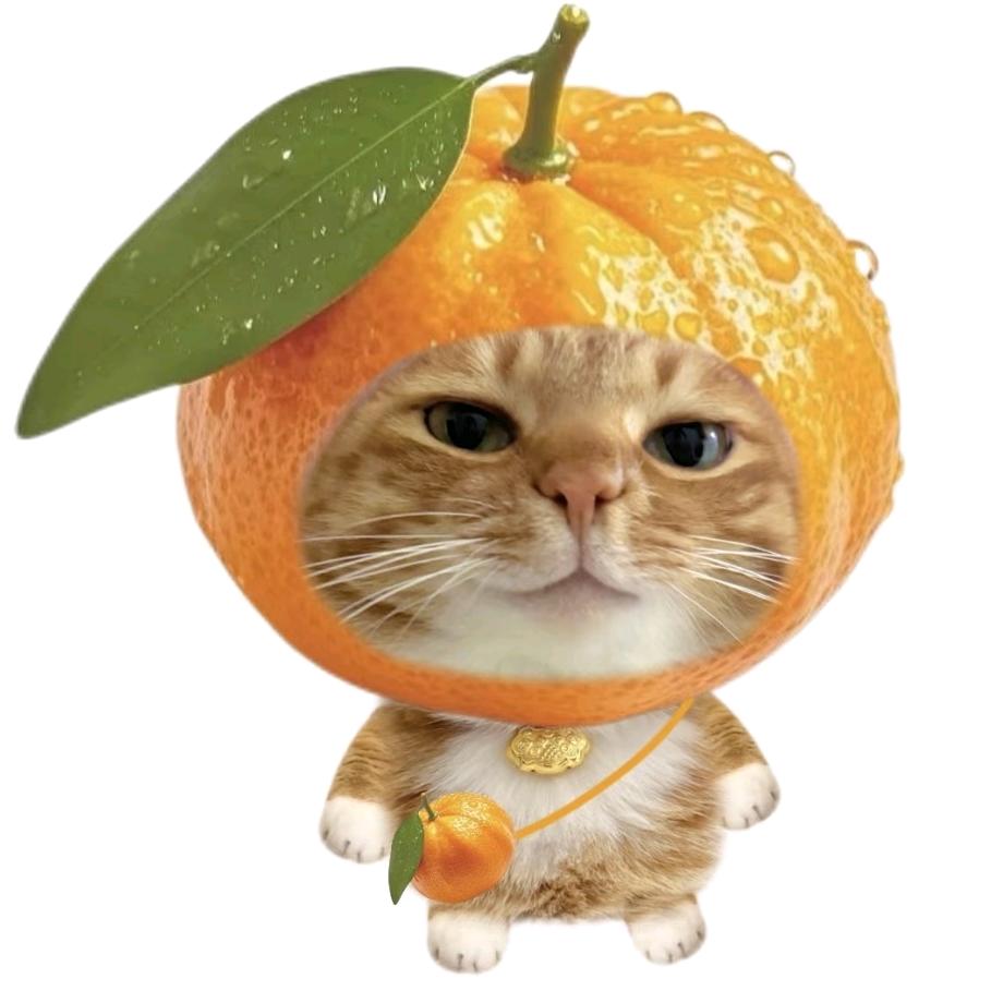 橘治糖🍊