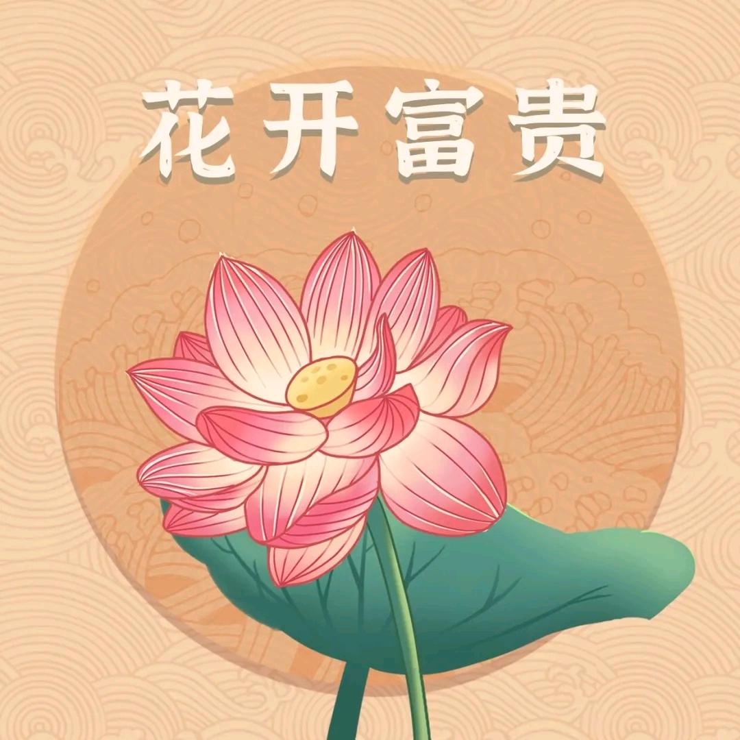 菠萝心🌙ིྀ