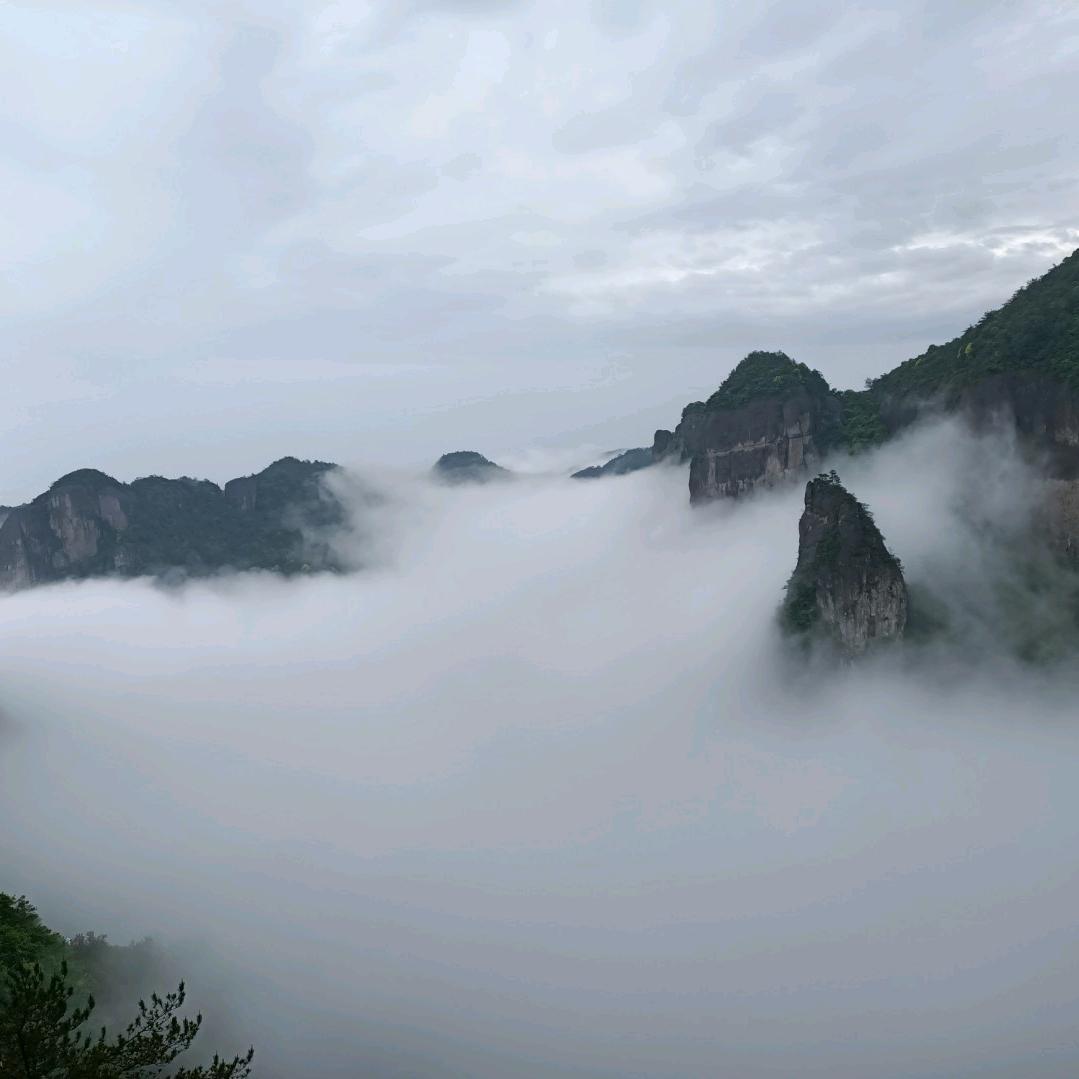 🎄🦄老头🦄🎄