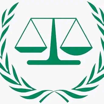 陕西交通事故杨姐