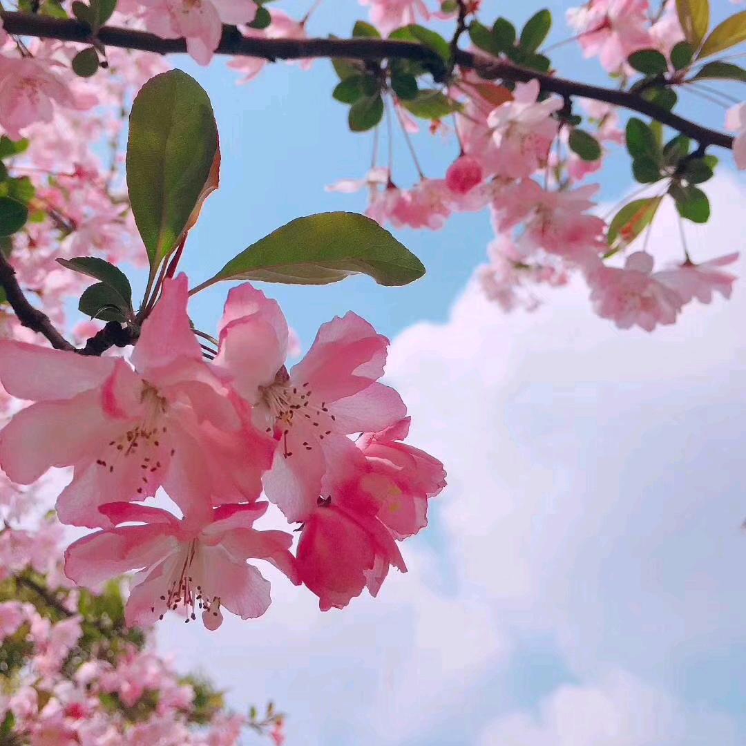 雨后彩虹^_^