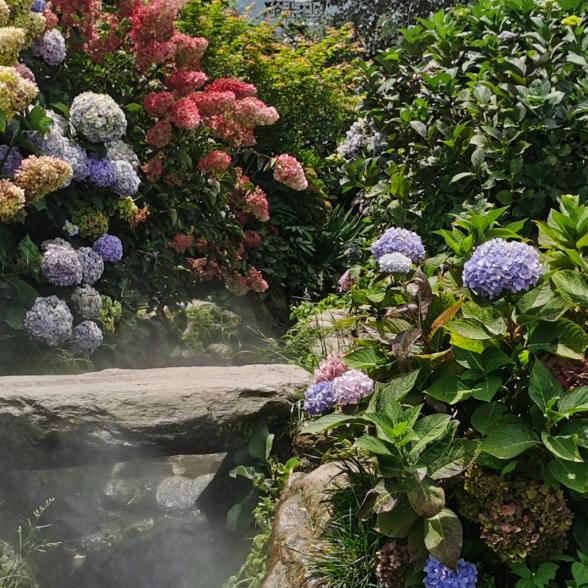 移动爱家靓淮河