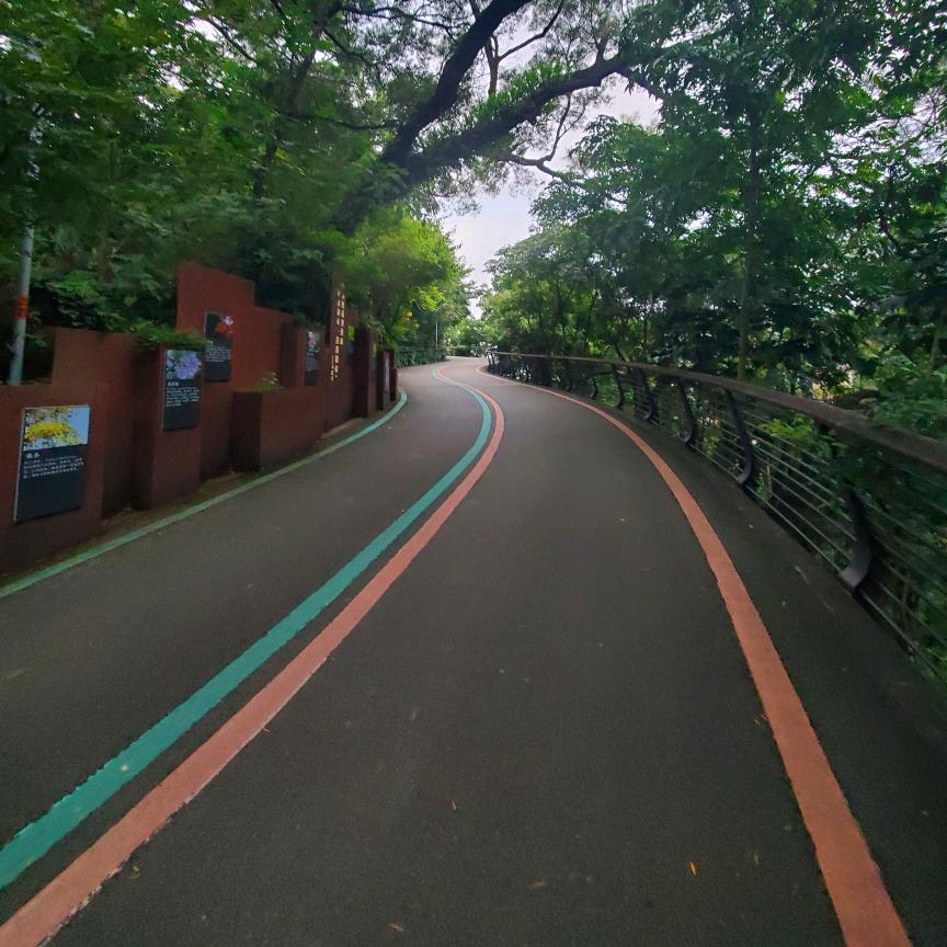 哈哈哈波先生