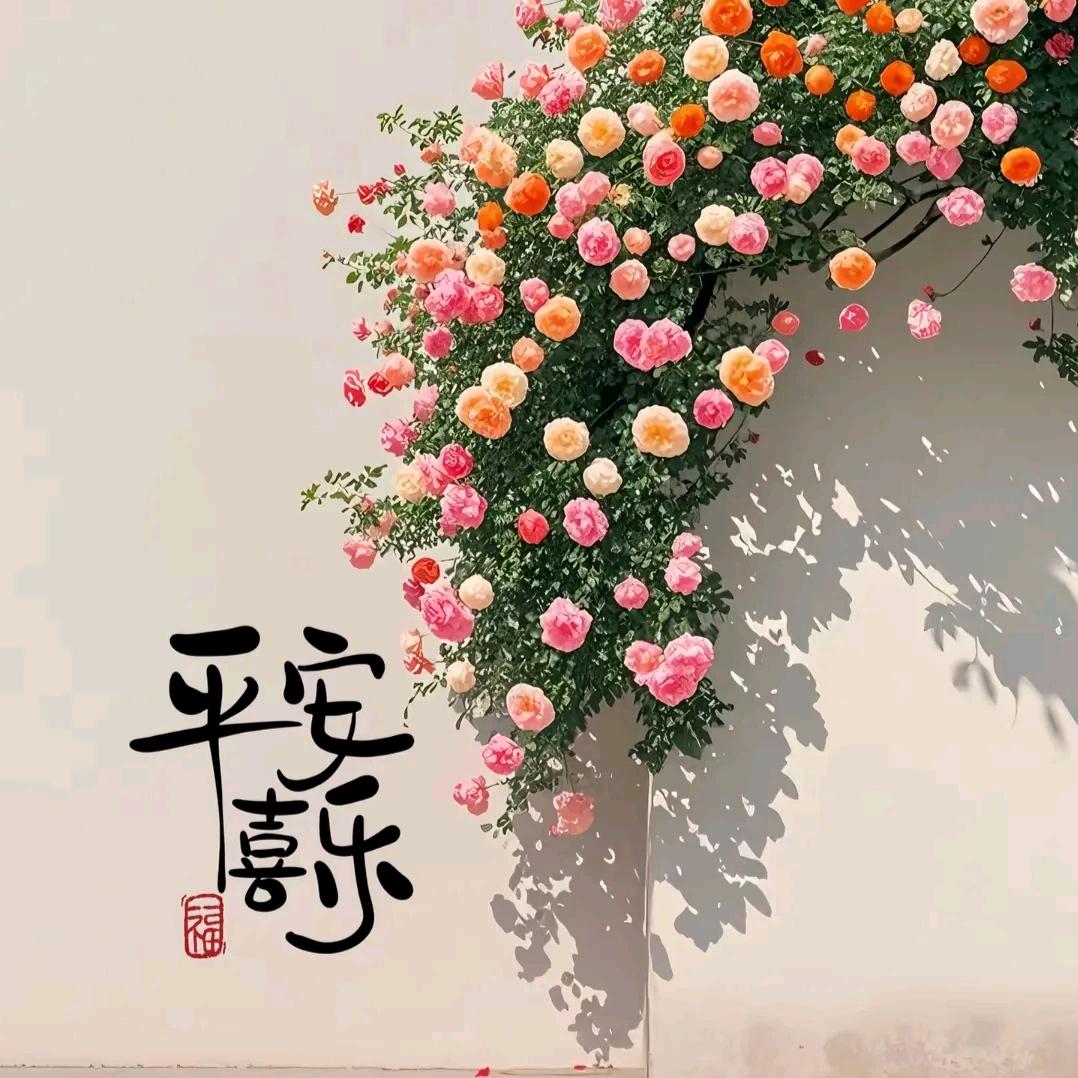 润颜🌹刘老师8