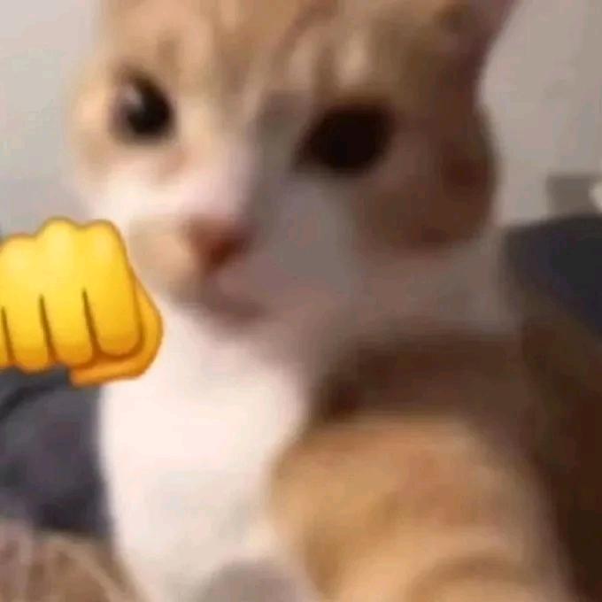 红豆泥