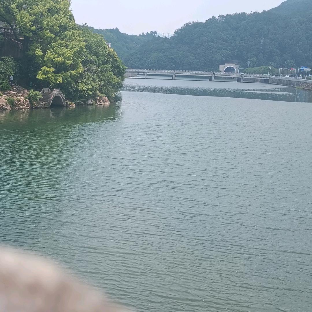 小胖仔爱喝茶叶茶