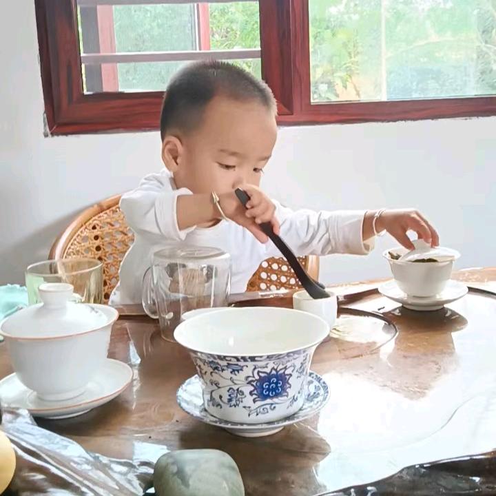 杨拖拖