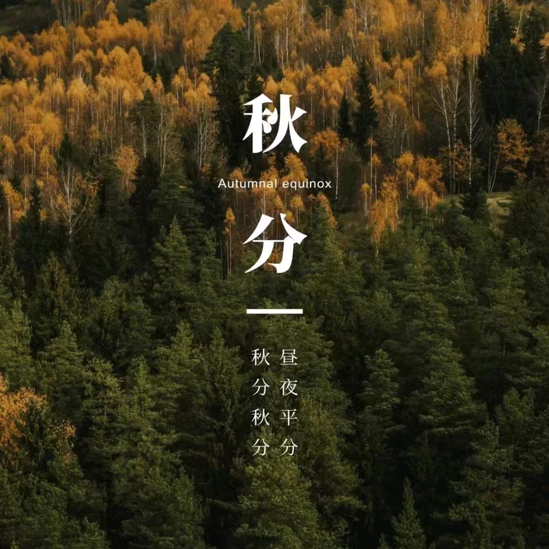 ღ᭄余笙এ