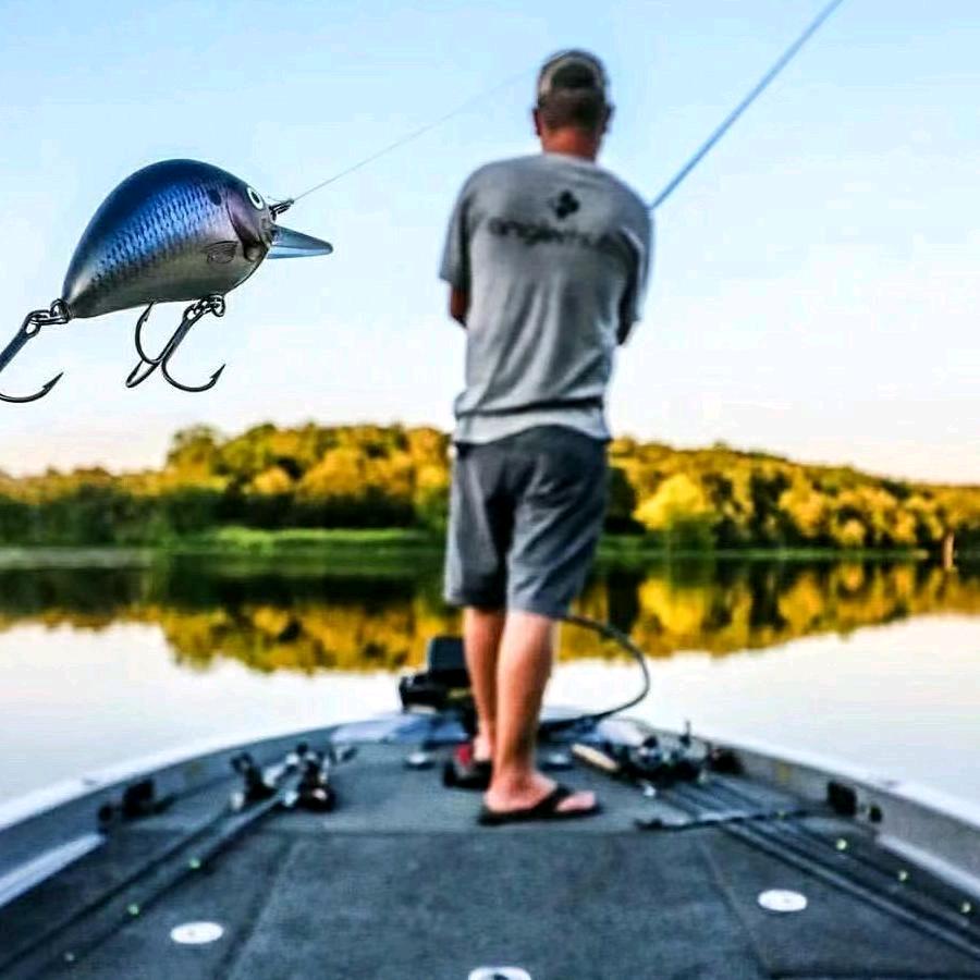 痴迷路亚的头像