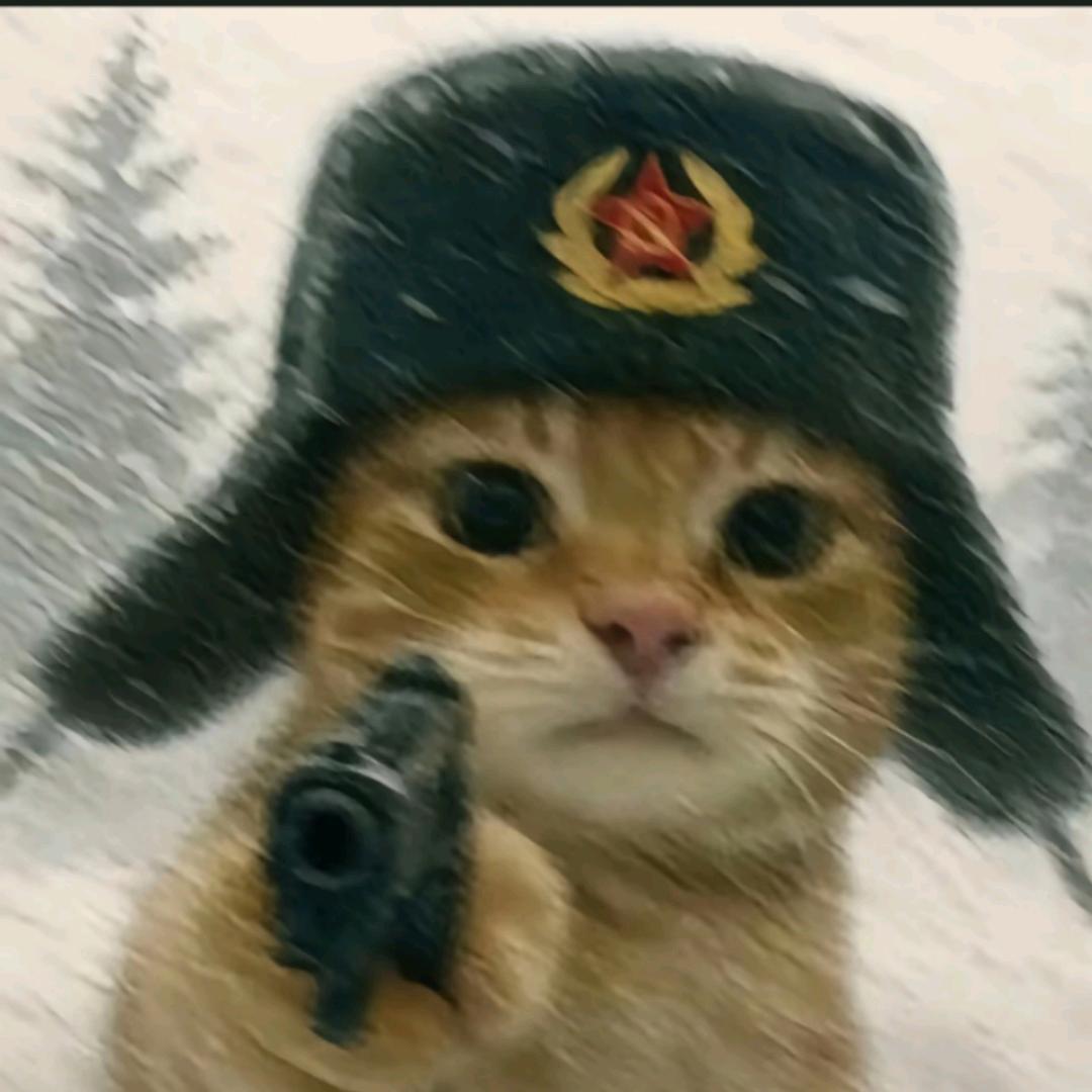 风起天禾