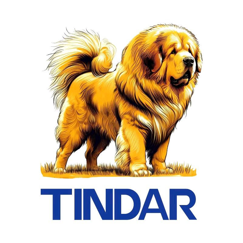 TINDAR企业店