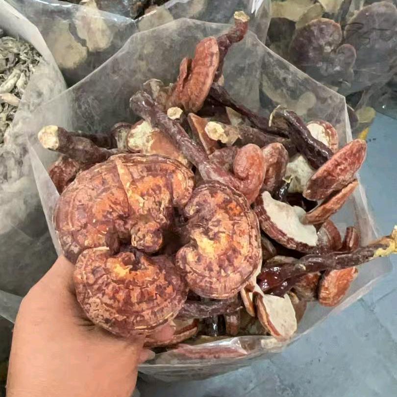 滇缅山货
