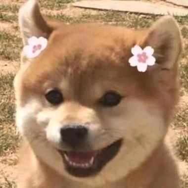 阿花🌸