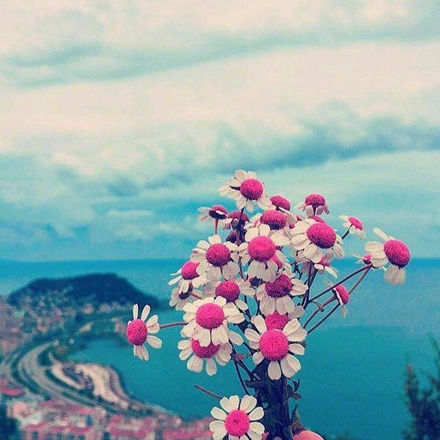 赵丽