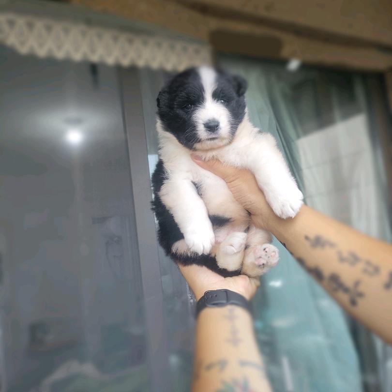 北悸˚*̥(∗*⁰͈꒨⁰͈)*̥