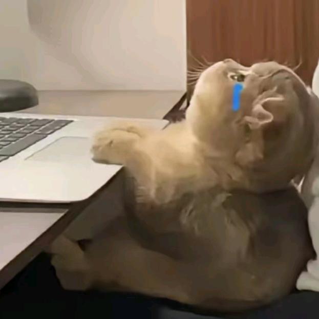 王总很忙