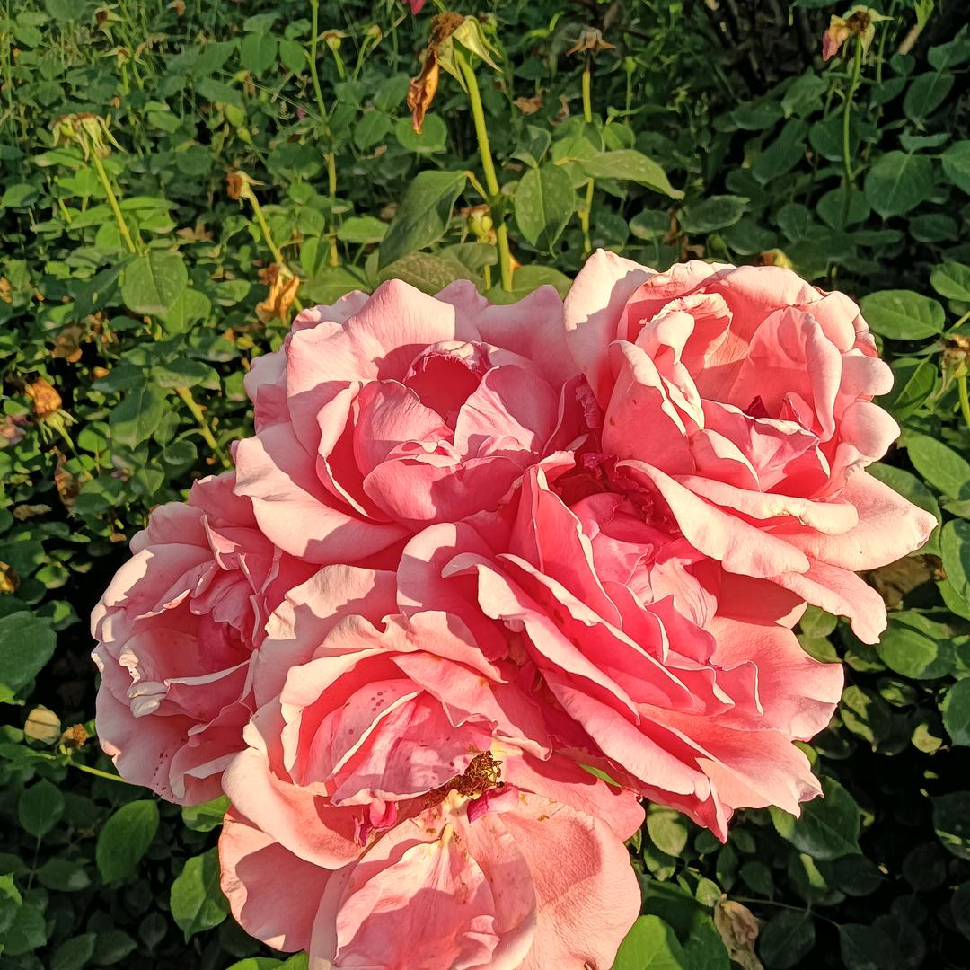 用户1718189887207浩