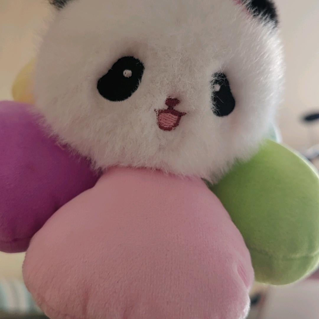 从心开始