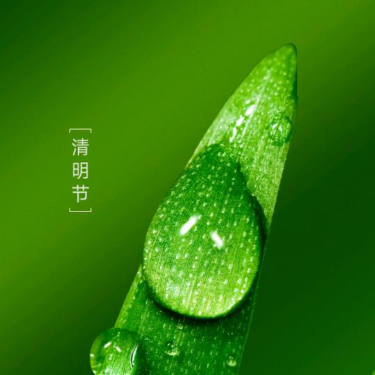人生如梦
