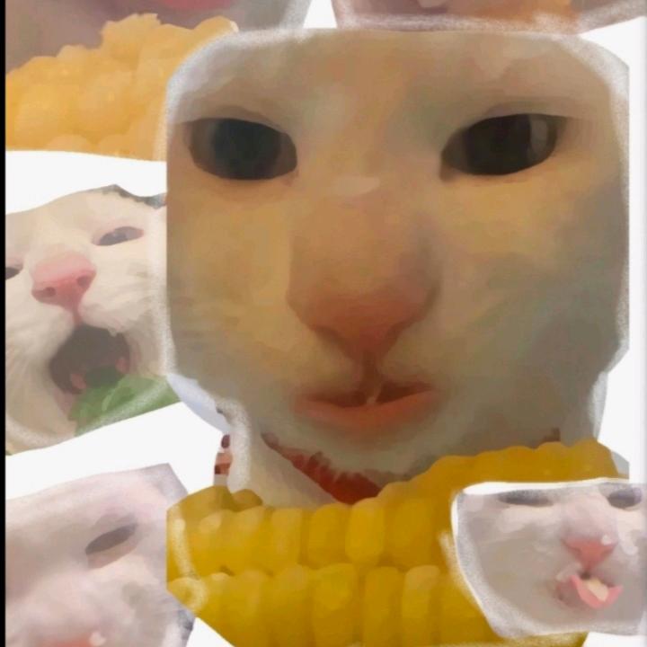 AAA混凝土批发王哥