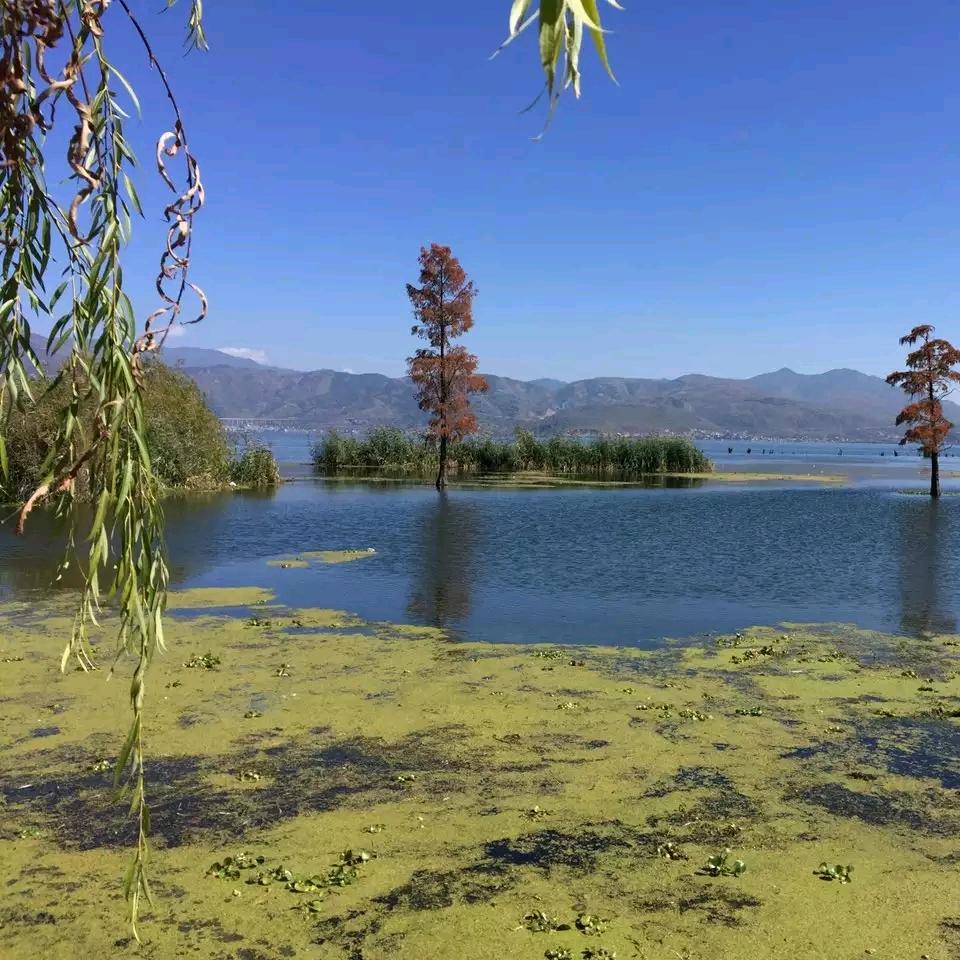 🌈~🐠🐠🐠~🌈