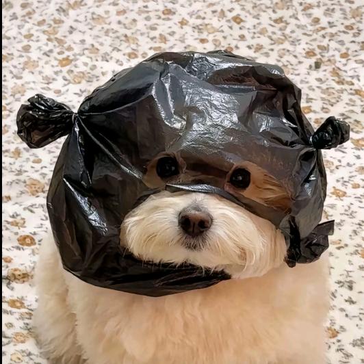 运来财来缘来