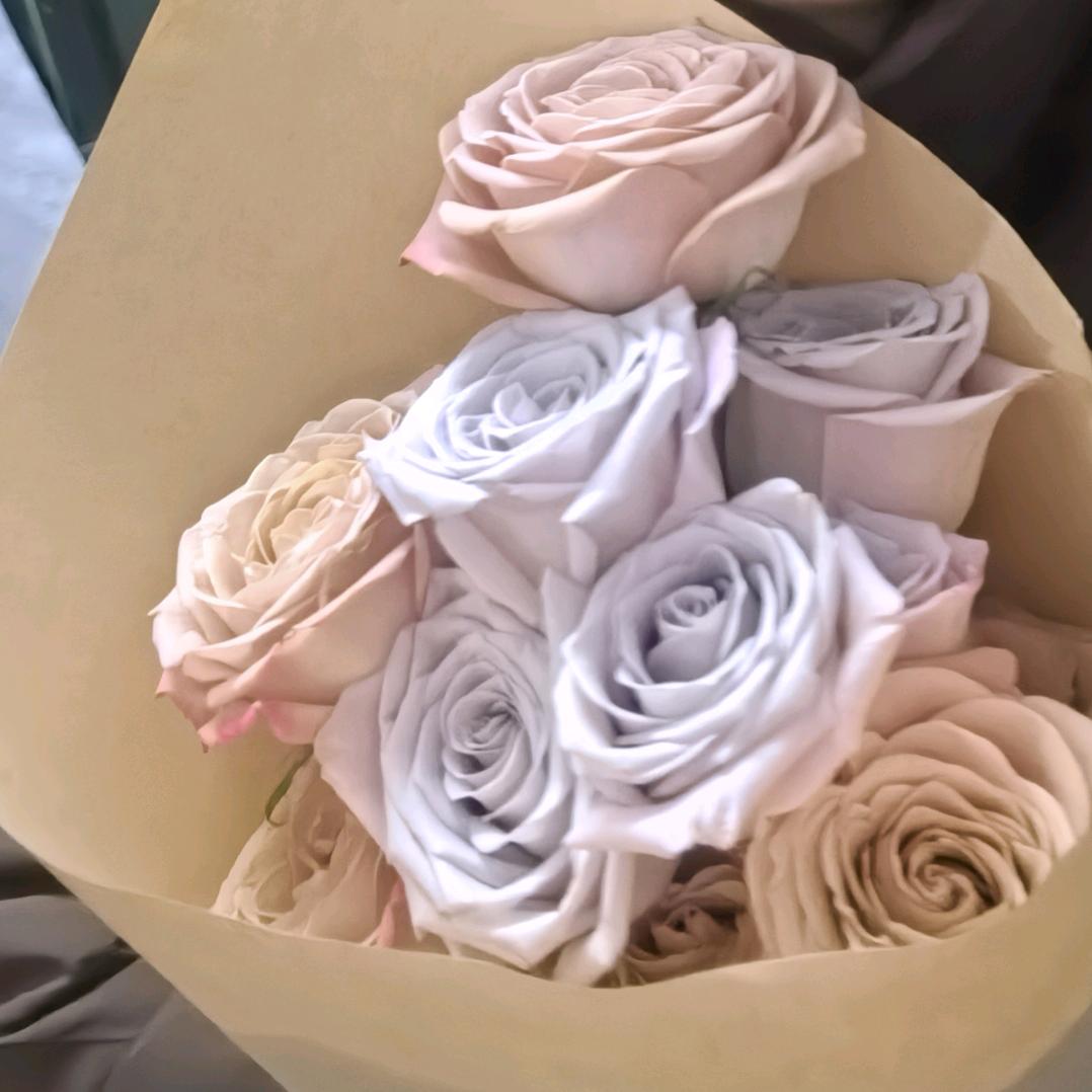 住在月球里的星陈