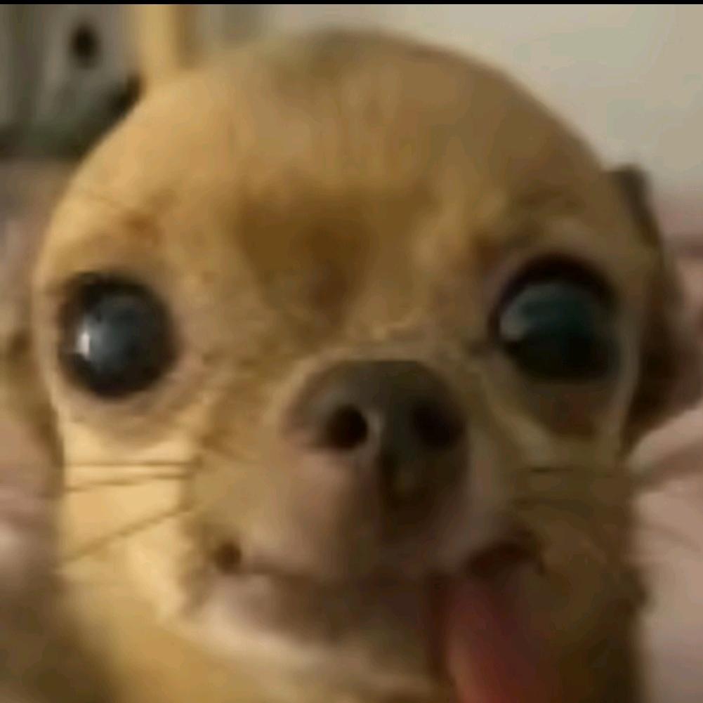 甲乙