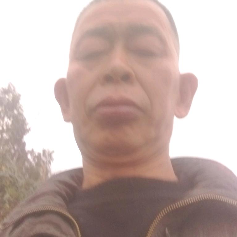 李庆木