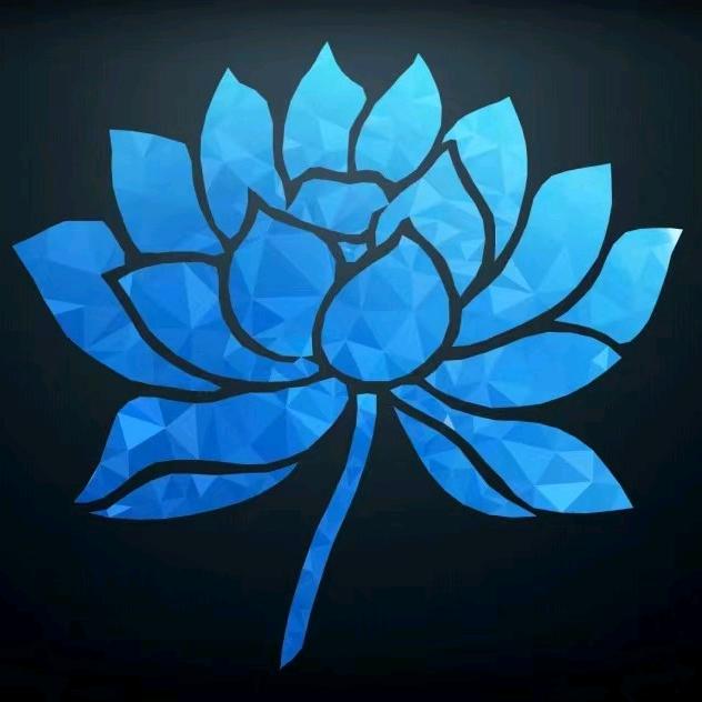 私人定制头部抗衰