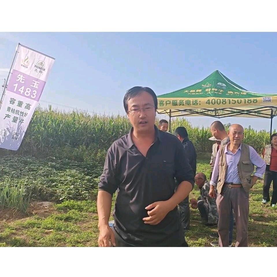 早胜耘岁昌种业服务部