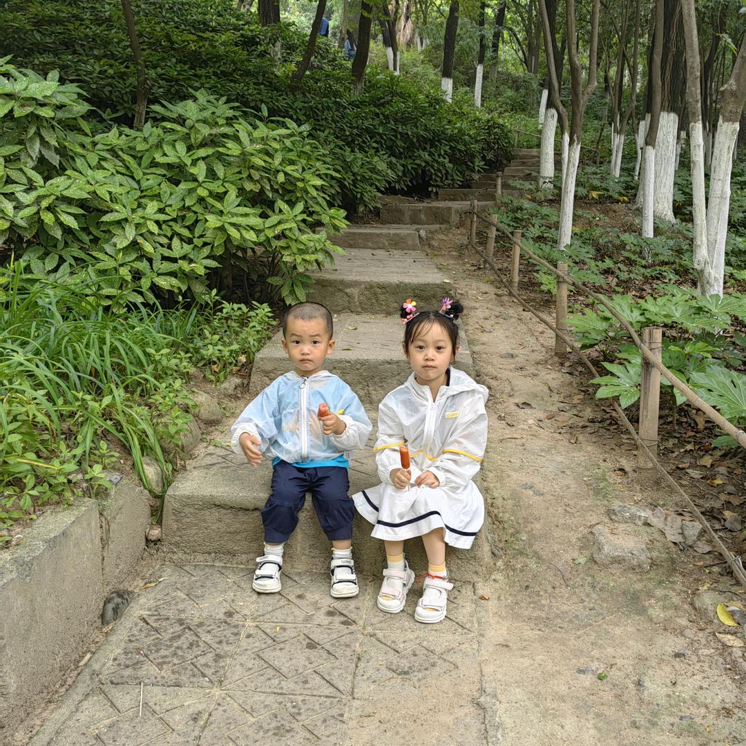 王根全