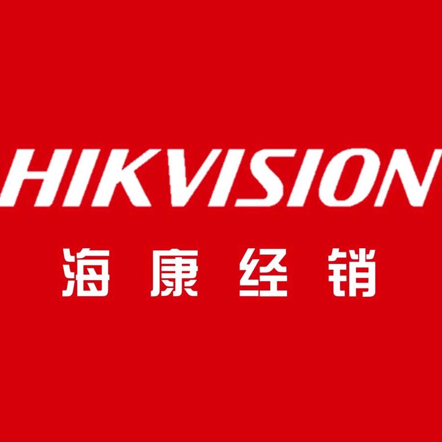 HIKVISION海康威视金宏专卖店