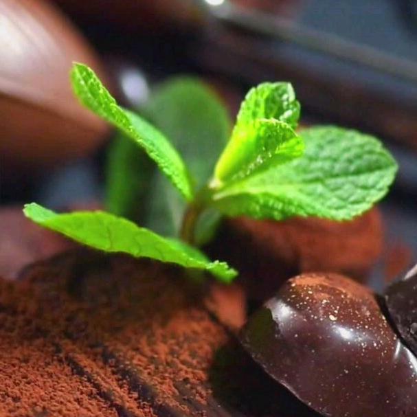 金朵朵品质女裤