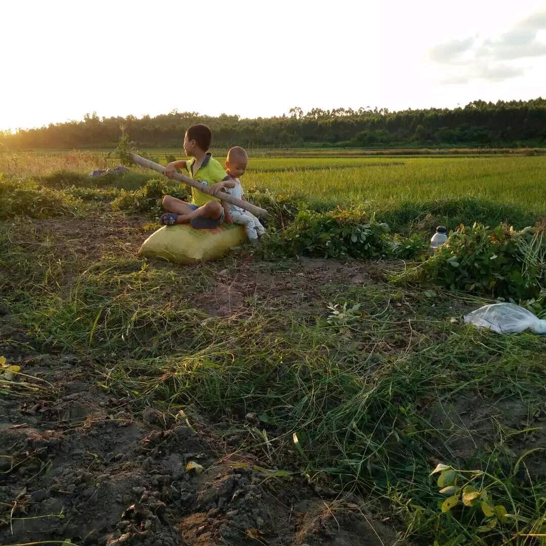 湛江旅行管家茂哥