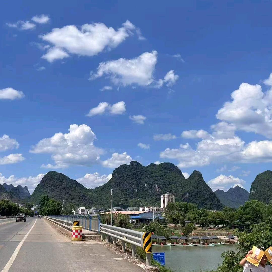 凤凰鸣唱