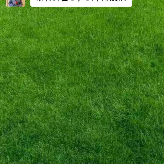 妞妞