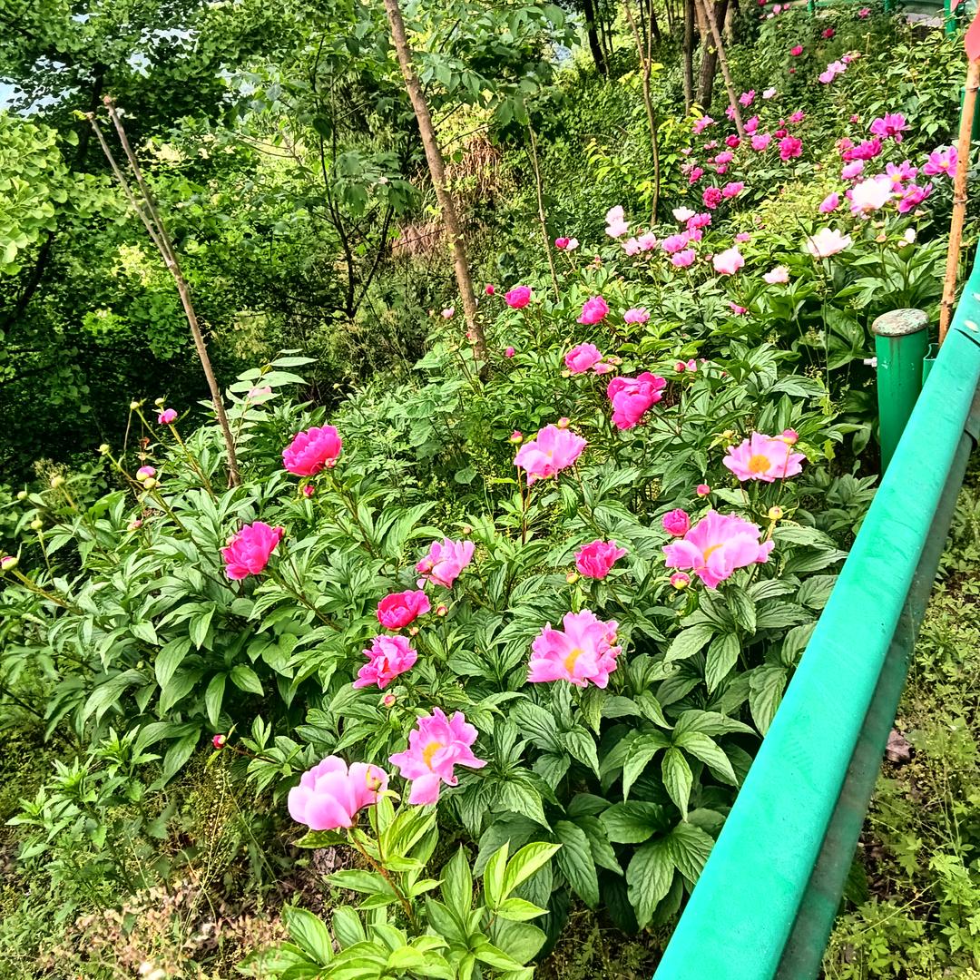 厚德载物