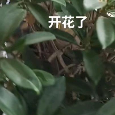 一生一世