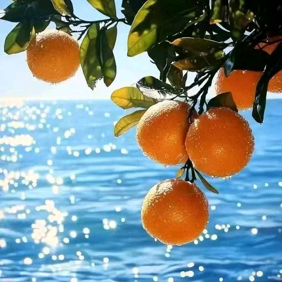 莫愁