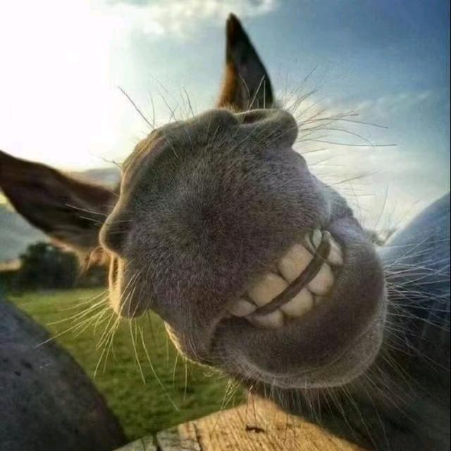 90后的童年回忆