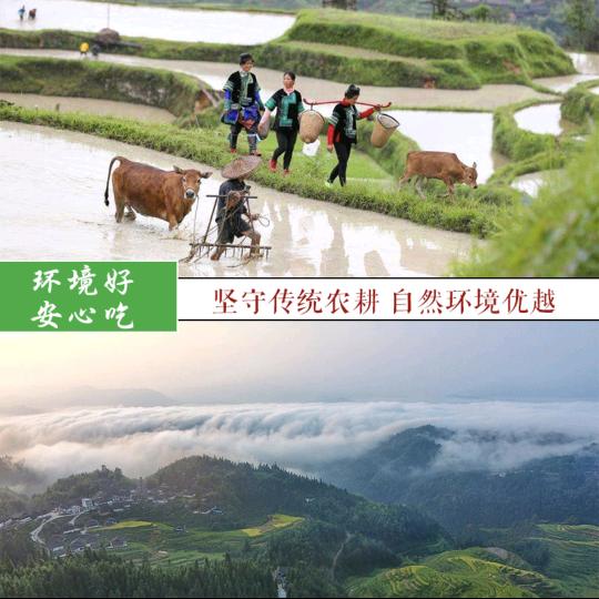 黎平县侗禾源农副产品店