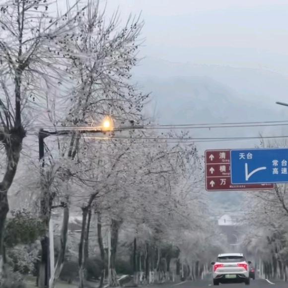 向往阳光