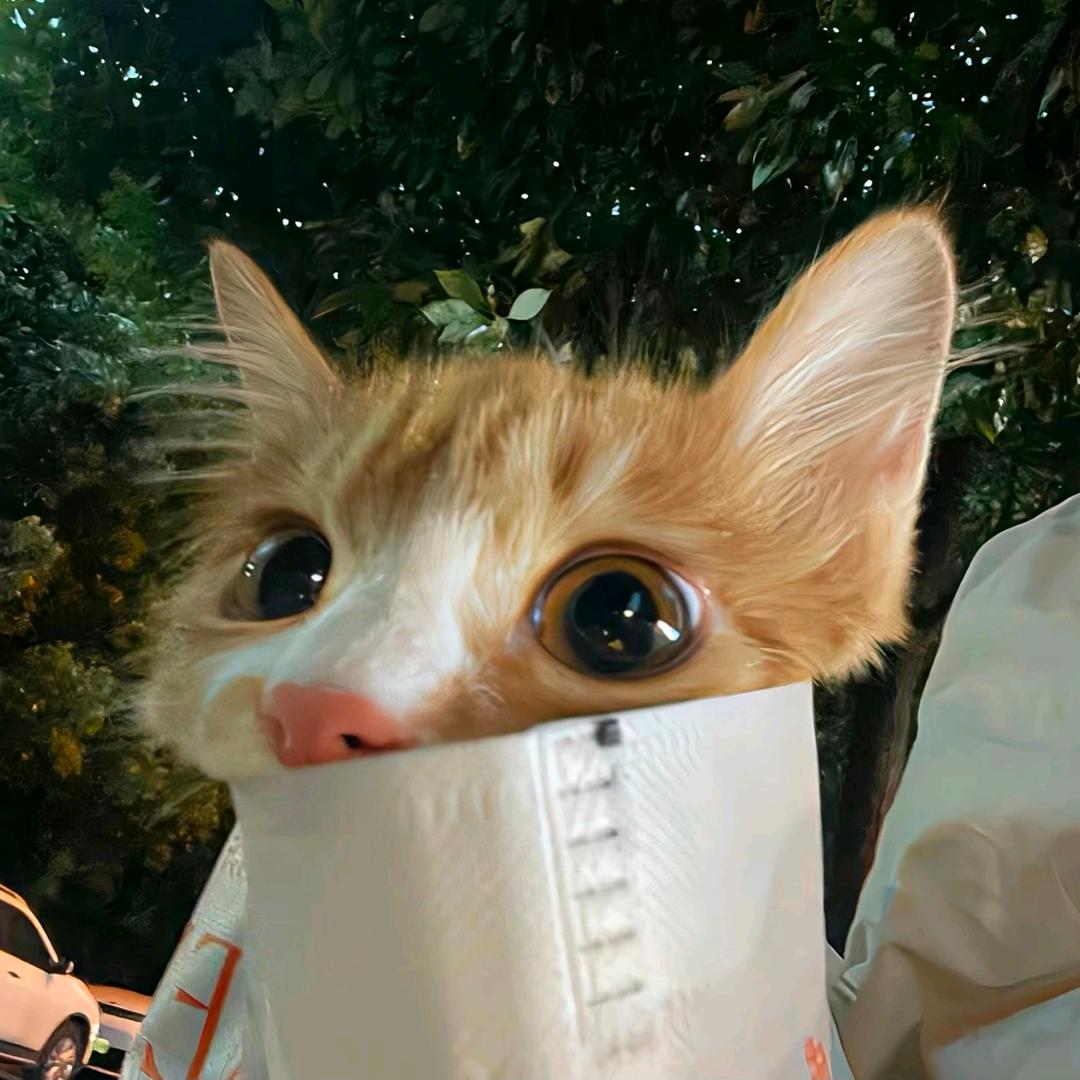 藏在梦里的容宝🤫🤫