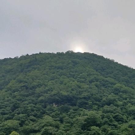青山绿水