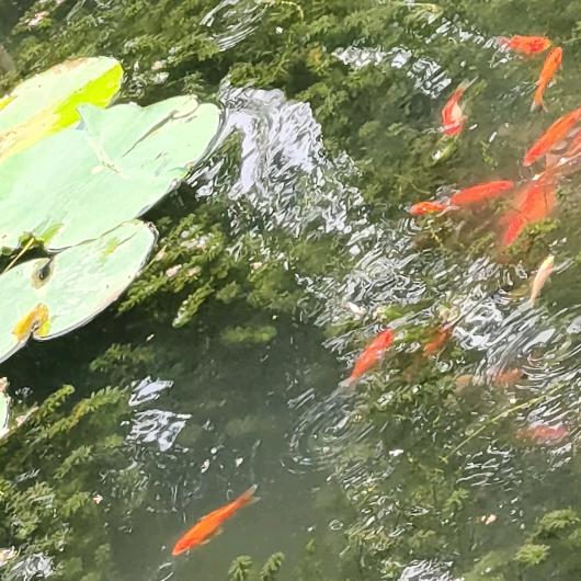 瞳暻
