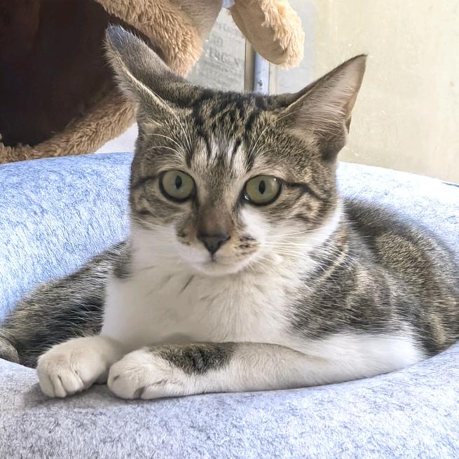 财神爷的心肝宝贝儿～