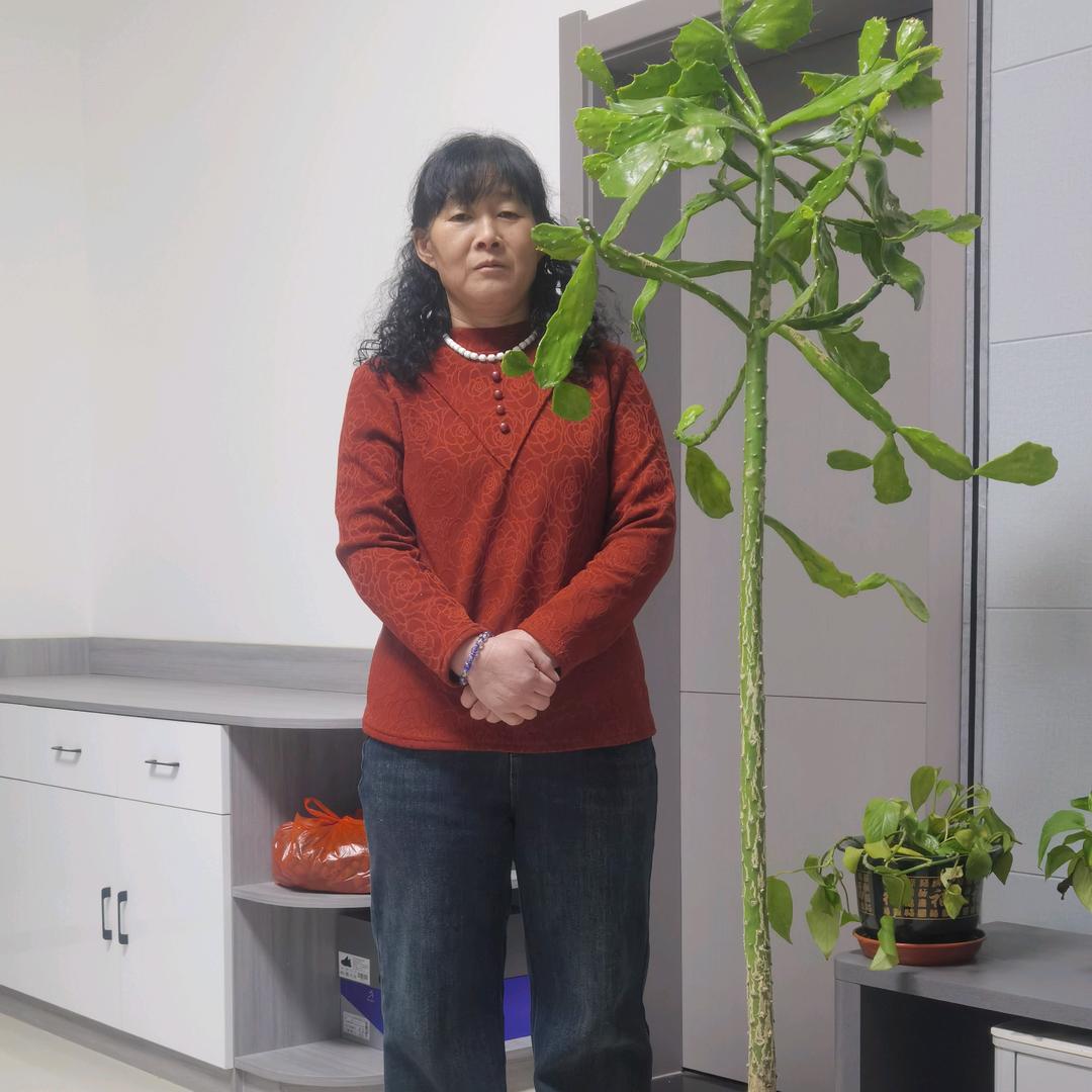 李红卫包工包料盖民房
