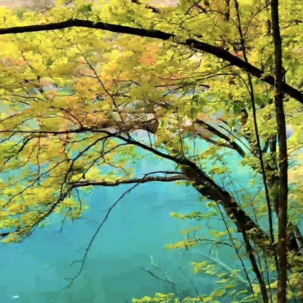 心系春天